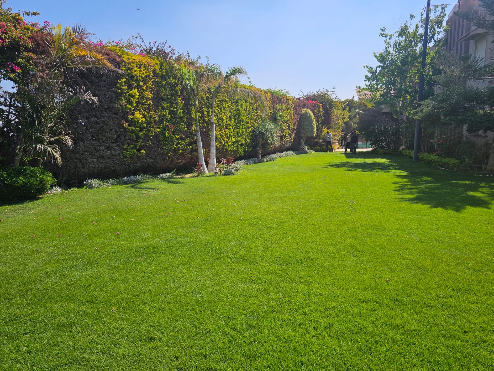 Villa Nova Image 4